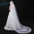 Tulle Lace Appliques Long Cathedral Wedding Veil